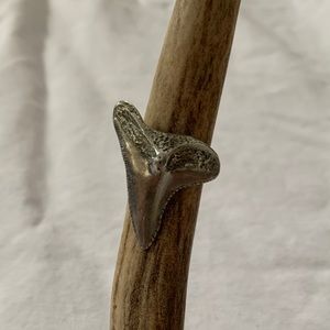 Vanessa Mooney Shark Tooth Sterling Silver Ring